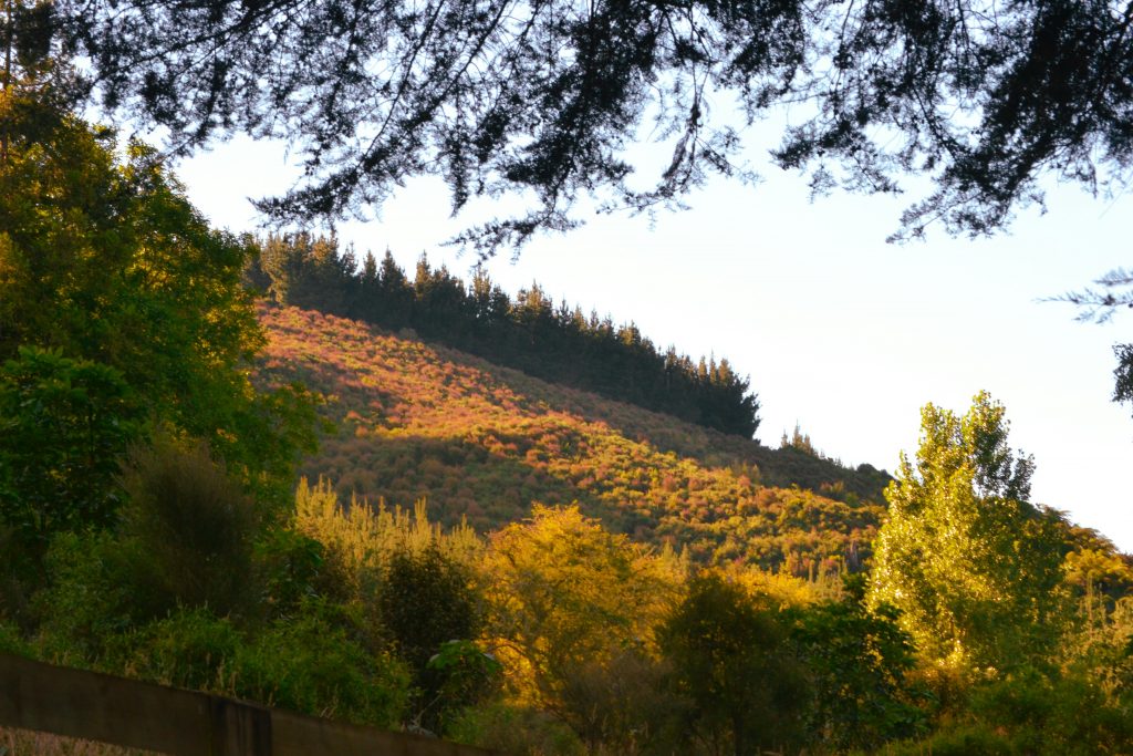 this photo shows the summer sunset rolling through the hills.